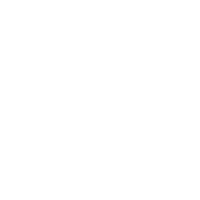 Icon Staatlich anerkannt